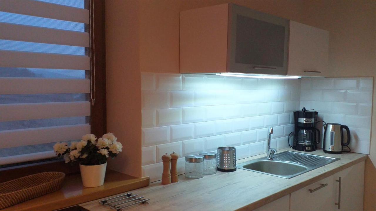 Przytulne Studio Borowkowy Zagajnik Пиецховице Екстериор снимка