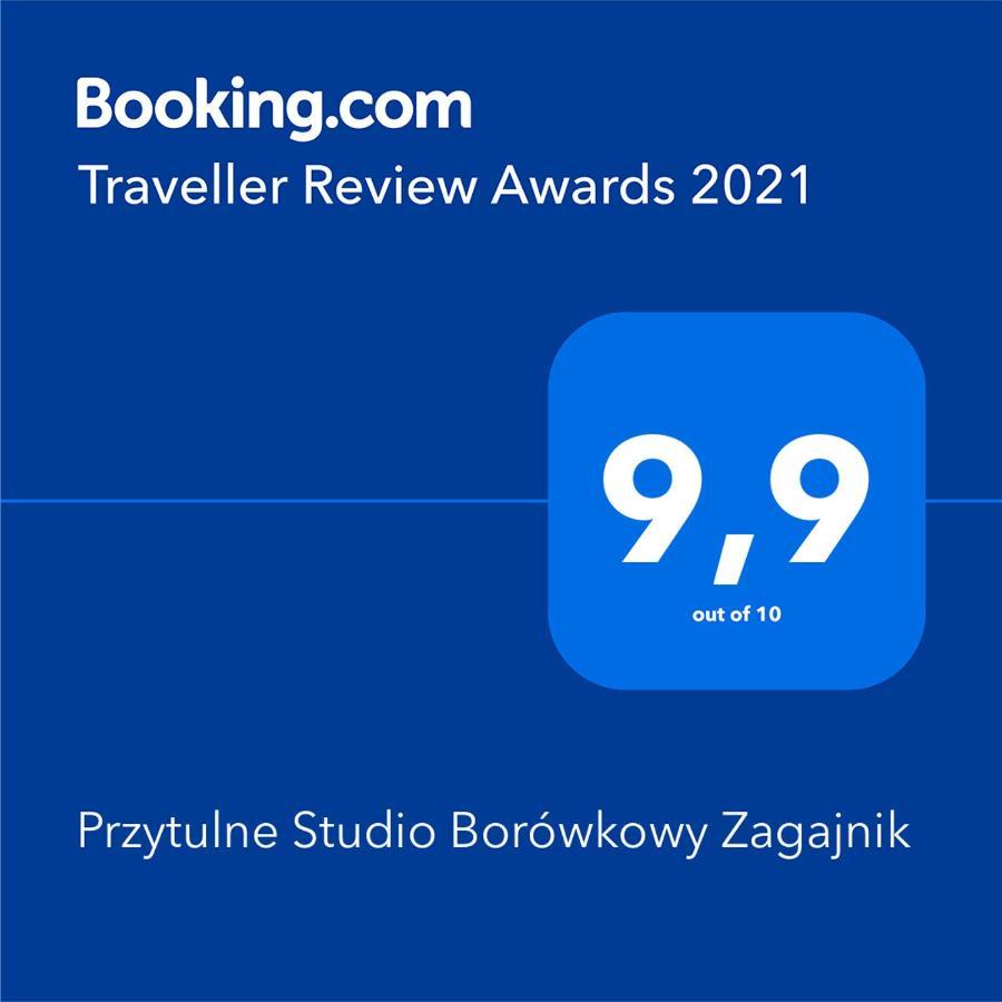 Przytulne Studio Borowkowy Zagajnik Пиецховице Екстериор снимка