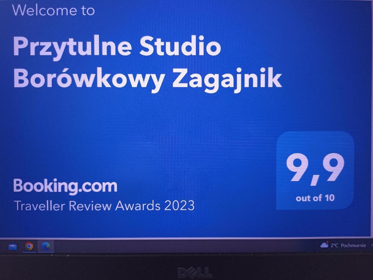 Przytulne Studio Borowkowy Zagajnik Пиецховице Екстериор снимка